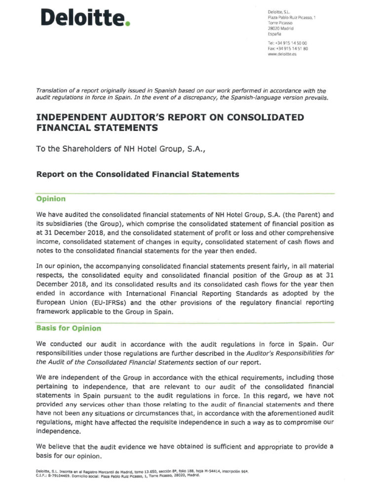 INDEPENDENT AUDITORS’ REPORT ON CONSOLIDATED FINANCIAL STATEMENTS ...